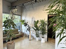 スタンス(STANCE)の雰囲気（＊広々とした店内＊）