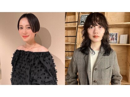 ドレープ(Dreap)の写真