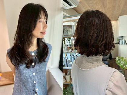 ムジカ(MUSICA)の写真