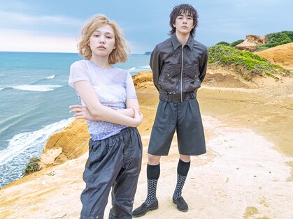 カンナ(Canna)の写真