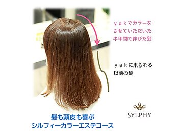 ヘアーエステ専門店　Hair Esthe Salon　yak　【ヤック】　