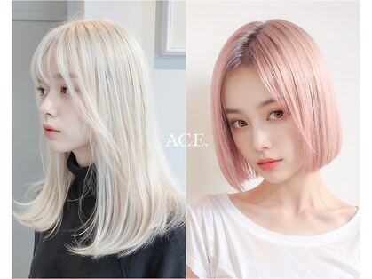 エース(ACE.)の写真