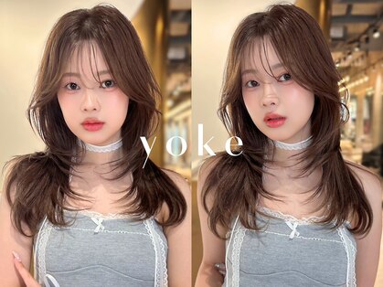 ヨーク(yoke)の写真