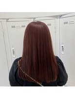 ブラウン(Brown)&nbsp;レッドブラウンカラー