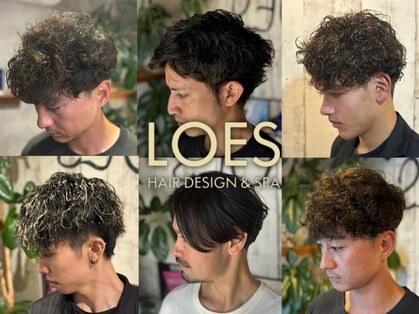 ロイズ ヘアデザイン アンド スパ(LOES)の写真