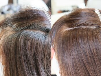 ハレ(HARE)の写真/気になる白髪はしっかりカバーしたい！そんな方にもおススメ♪【低価格×高品質】で綺麗に染まる。