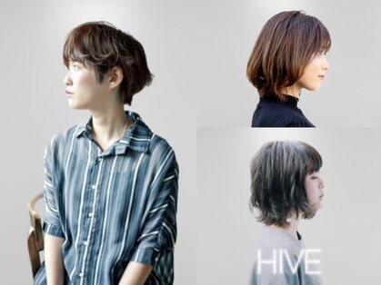 ハイブ(HIVE)の写真