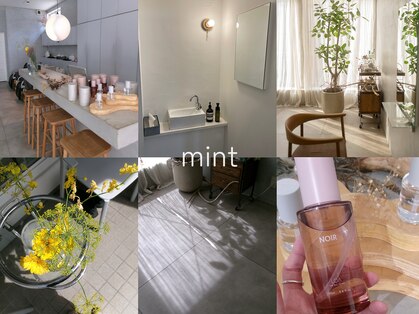ミント(mint)の写真
