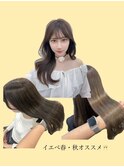 イエベ春・秋似合わせカラー◎矢口/ベージュ/ブラウン
