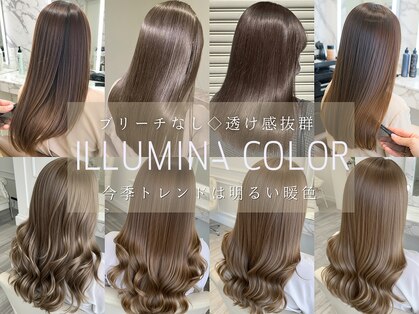 レゴヘアー(Lego Hair)の写真