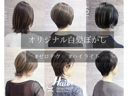 レザボアハイブ(reservoir Haibe)の写真