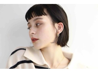 ソフト(SOFT)の写真