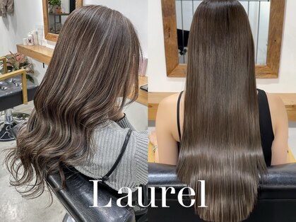ローレル(Laurel)の写真