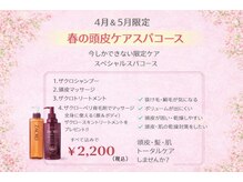 プラザヘアー ポートタウン東店(PLAZA HAIR)の雰囲気（5月限定春の頭皮ケアスパコース！ザクロペリースパ！）