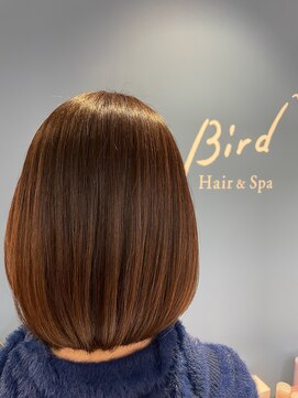 ブルーバード(Blue Bird) 艶髪ショートヘア【岡山駅前/駐車場有/エイジング毛◎】
