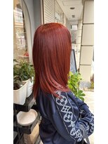 ドッグスター(dog star)&nbsp;大人ハイトーンカラー マンダリンカッパー[登戸/向ヶ丘遊園]