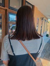 ニュース(NEWS)