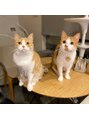 オブヘアージユウガオカ(Of HAIR Jiyugaoka)&nbsp;双子の猫と同居中です！