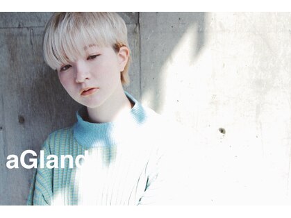アグラントープ(a Gland taupe)の写真