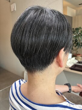 本と南風 guest design