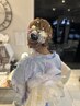【浴衣の着付け＆ヘアセット】￥7000