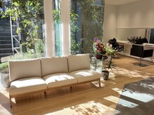 ロビー 青山(ROBBY)の雰囲気（自然光が心地よく差し込む、落ち着いた優しい空間。）