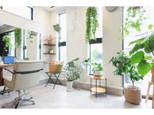 トイロ(TOIRO)の雰囲気（ゆったり観葉植物に囲まれた落ち着いたプライベート空間です。）