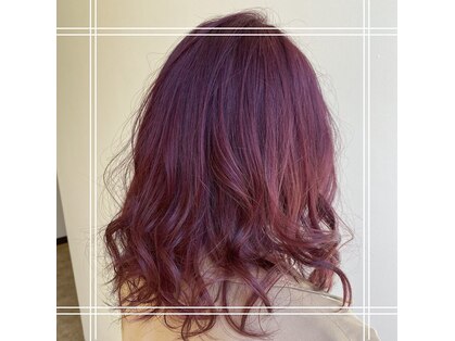 ノーブル(noble)の写真