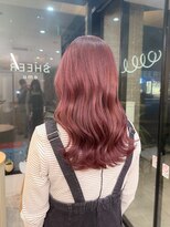 シアエミュー 新越谷店(SHEER emu)&nbsp;ピンクラベンダー【新越谷・南越谷】