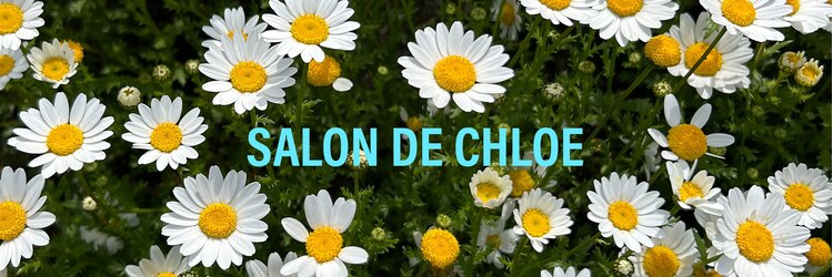 サロンドクロエ(Salon de Chloe)のサロンヘッダー