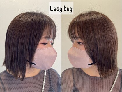 レディバグ(Ladybug)の写真