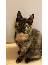 髪型製作所&nbsp;プリンセス アズキ