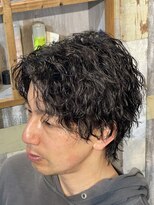 デルフィーノ ヘアーパフォーム(delfino hair perform)&nbsp;センターパートウルフツイスパ