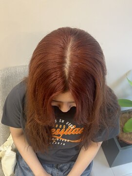 モナルダ(Monarda) オレンジブラウン