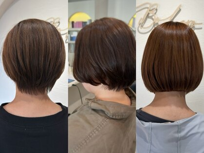 ボレロ(Bolero)の写真