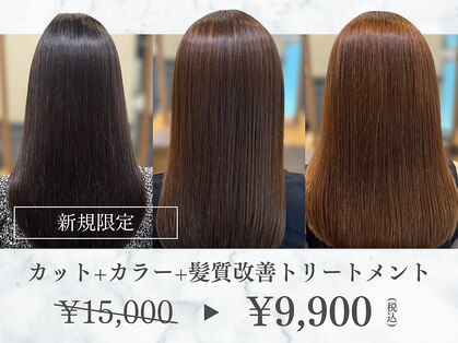 アーカイブ(Archive)の写真