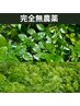 【純国産】沖縄産ヘナ&沖縄産インディゴ2度染めコース　※1時間単位で受付