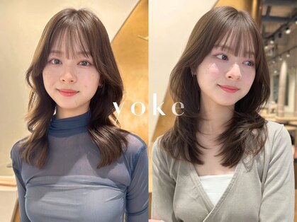 ヨーク(yoke)の写真