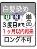 《1ヶ月・以内再来で》【3回目まで】白髪染めリタッチ（【1】 OR 【2】）