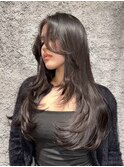 layer style
