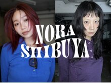 ノラ シブヤ(NORA)