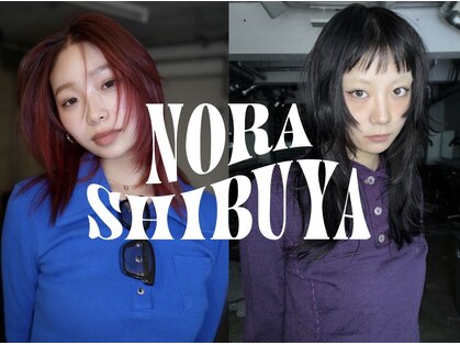 ノラ シブヤ(NORA)の写真