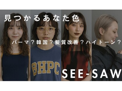 シーソー(SEE-SAW)の写真