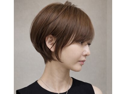 シアー(sheer)の写真