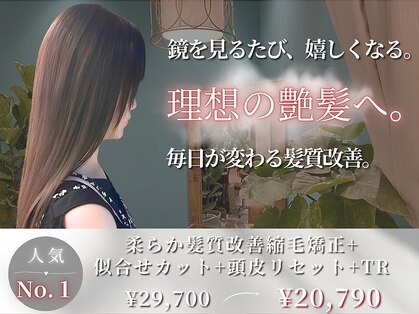 ディル(Dille)の写真