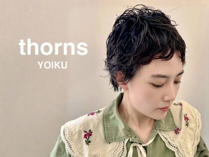 ソーンズ ヨイク(thorns YOIKU)の写真