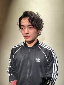 ニュートン(NEWTON) 【Newton×白鳥】ハードパーマ