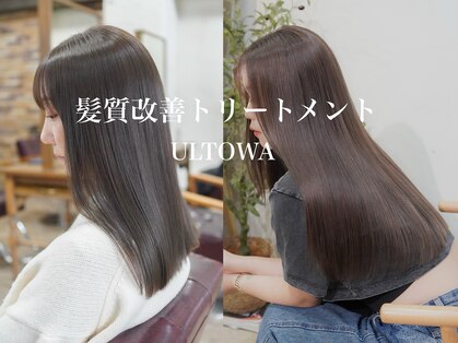 アリー(ALLY)の写真