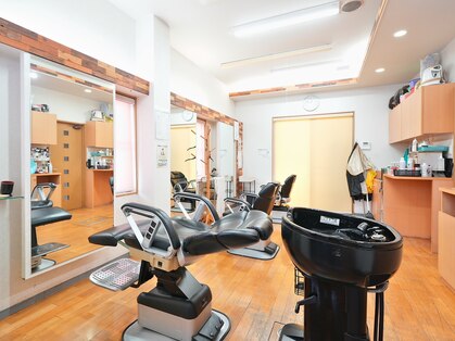 フィージ(Fi:ze)の写真