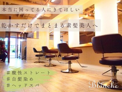 ブランシェ(Blanche)の写真